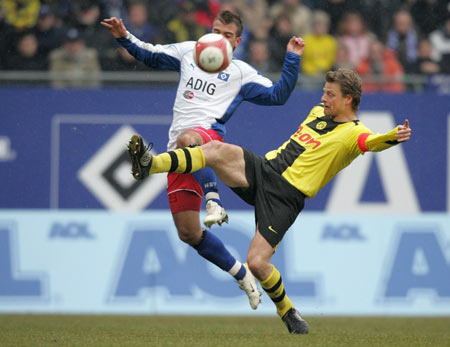 不仅为她的 不仅为她的